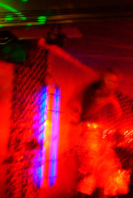 abstract lynx on box