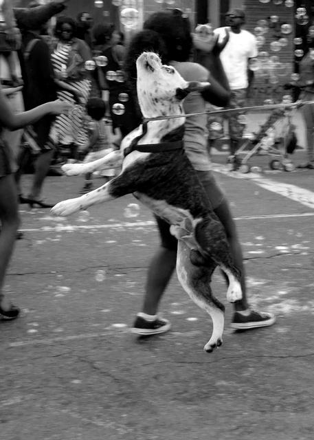 Black & White Lovely