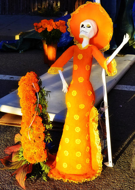 Orange Lady Skeleton