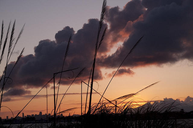Silhouetted Sunset Skyscape