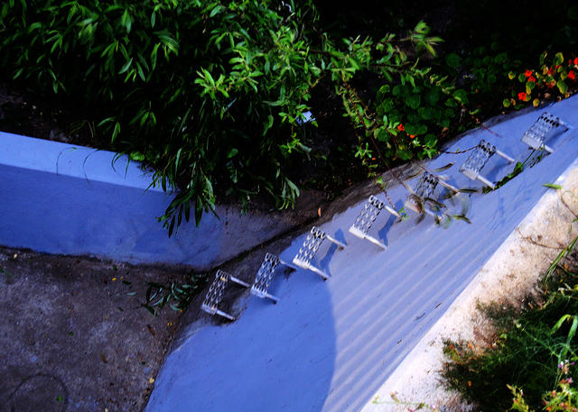 Cesar Chavez Park Descent