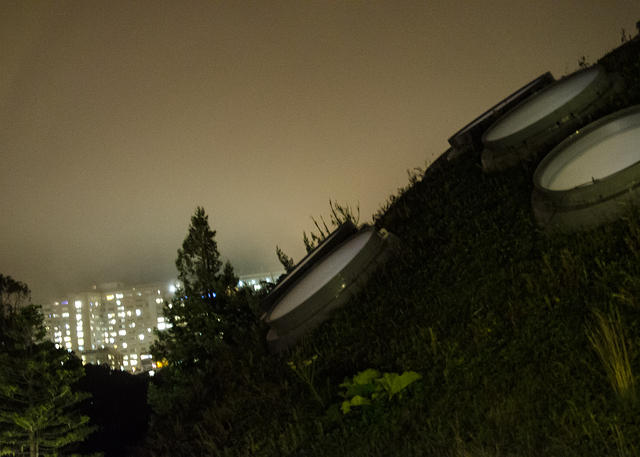 Academy of Sciences Dome