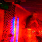 abstract lynx on box