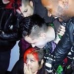 Loki, Dev, Diana, Josh, Dune