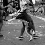 Black & White Lovely