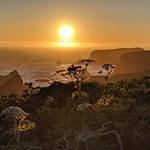 Landscapes, Seascapes, Other Escapes