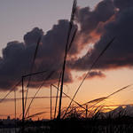 Silhouetted Sunset Skyscape