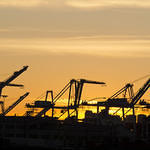 Sunsetting Cranes
